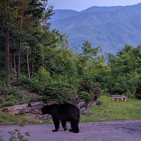 Real Log Cabin With Amazing Views, Hot Tub, Sauna, Games Gatlinburg Kültér fotó