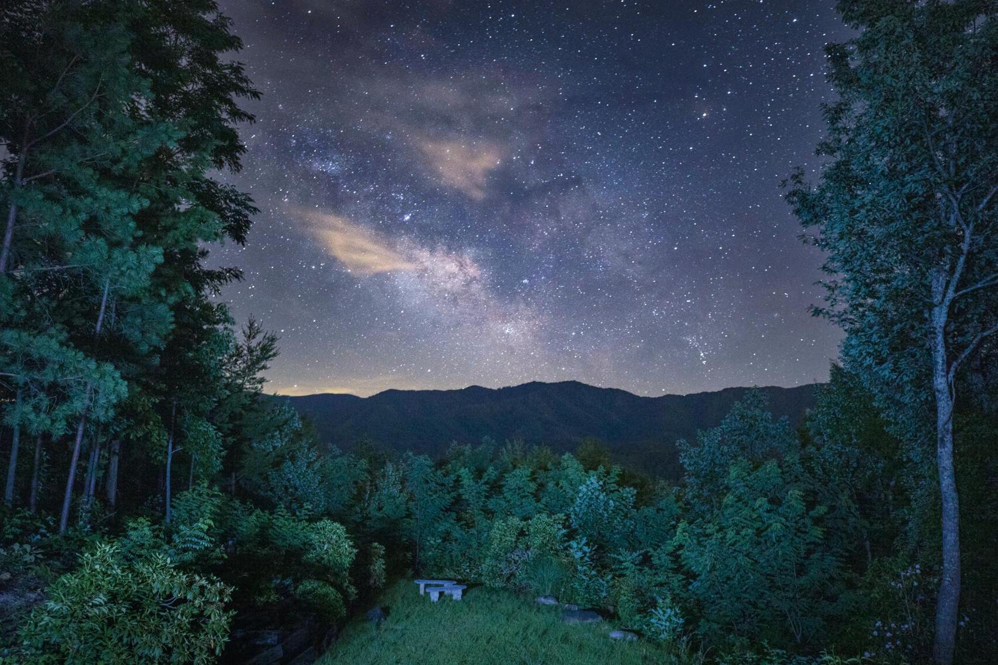Real Log Cabin With Amazing Views, Hot Tub, Sauna, Games Gatlinburg Kültér fotó